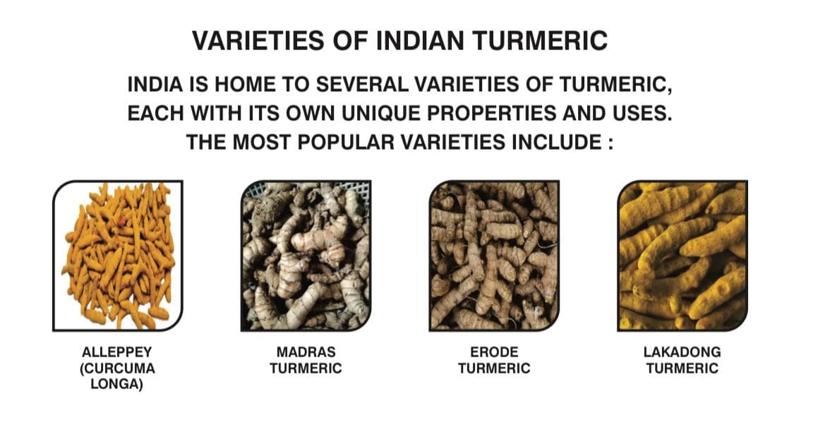 Indian Turmeric Varieties